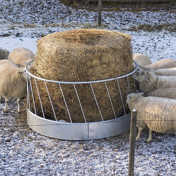 Kellfri MD Kellfri Rundraufe für Schafe 1,7 m andere Futtermittelausrüstung
